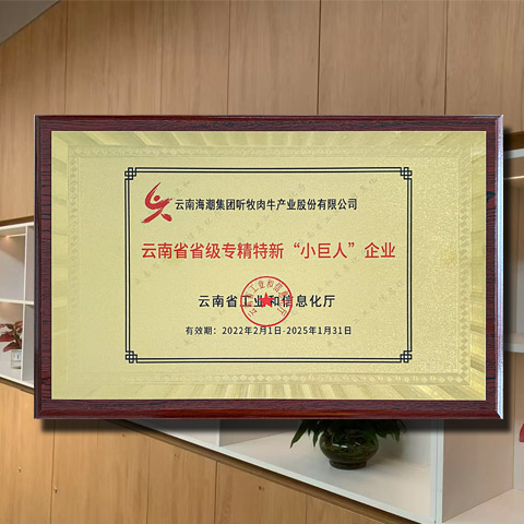 2022年2月1日，公司获得了云南省省级专精特新幼巨人企业认证。专精特新幼巨人企业是专一于细分市场、创新能力强、市场占有率高、把握主题关键技术、质量效益优的排头