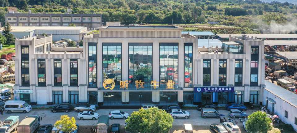 赏金船长官方网站牛市