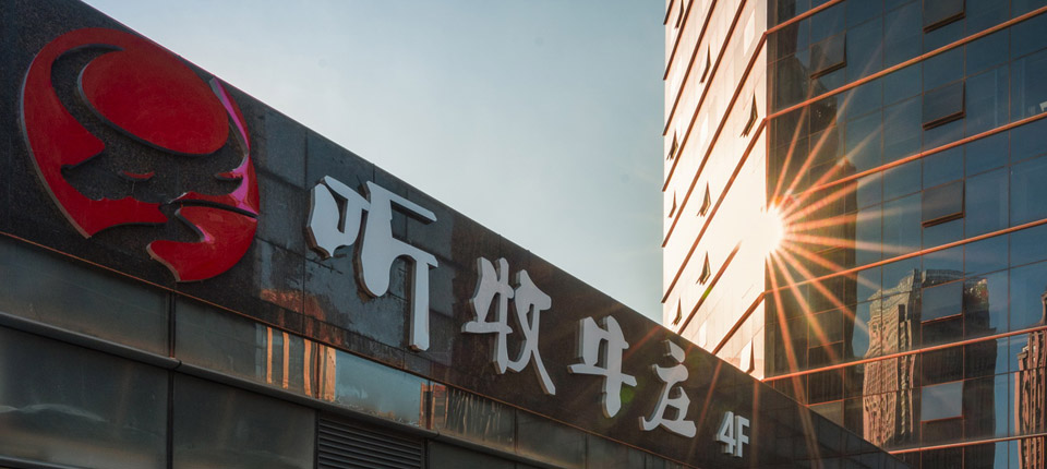 赏金船长官方网站牛庄